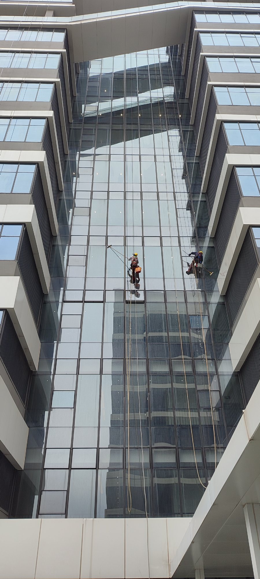 Traditional rope access window cleaning on a glass facade